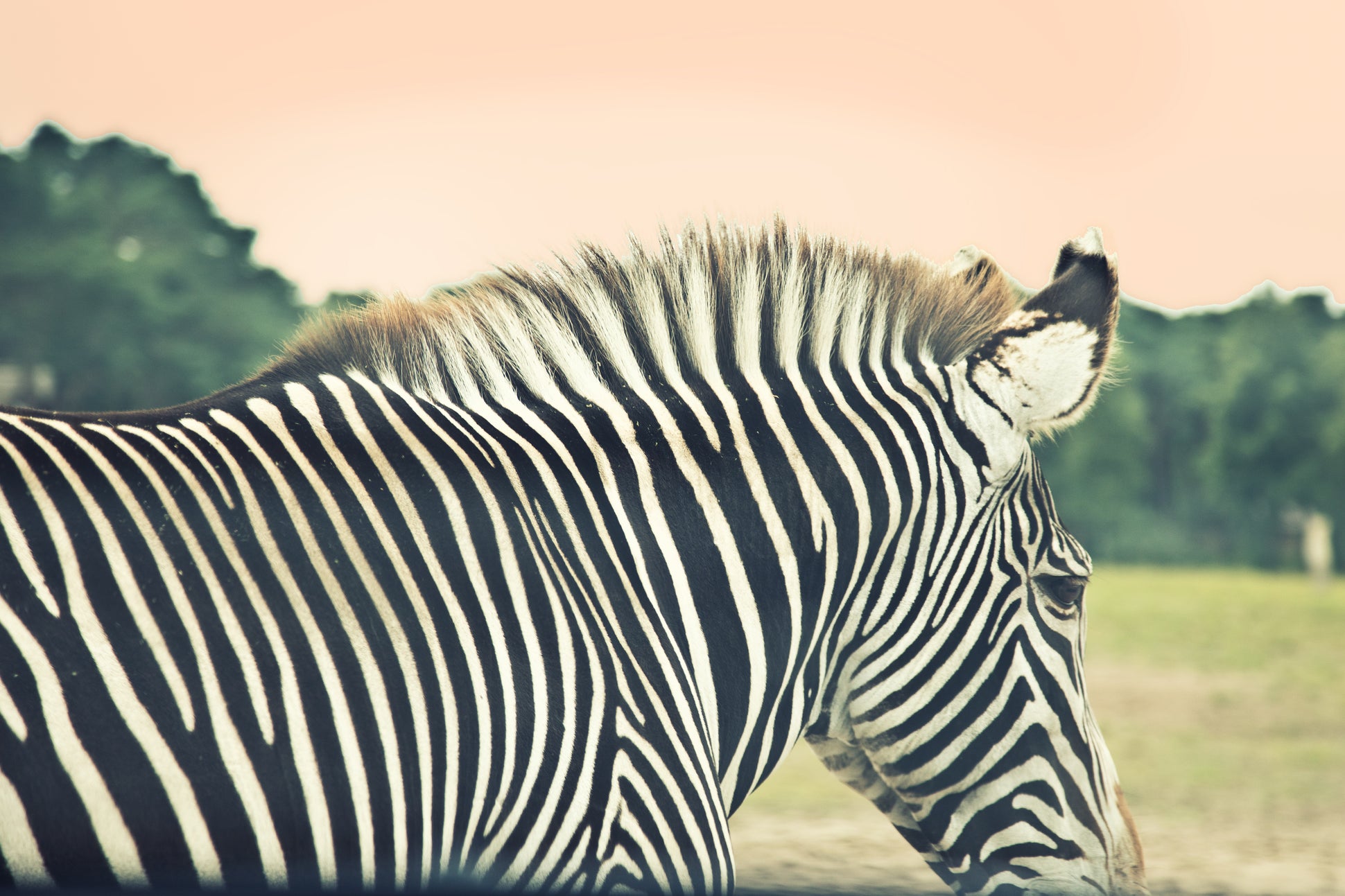 Все портфели